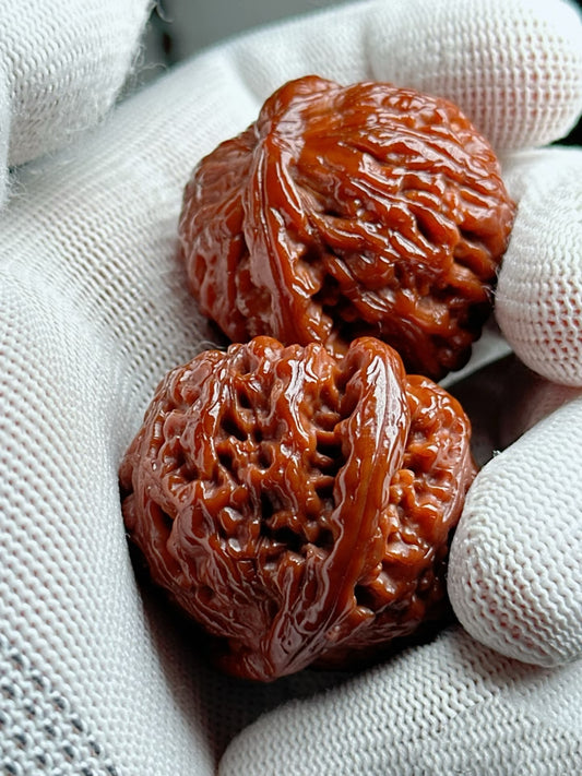 White Lion Walnuts
