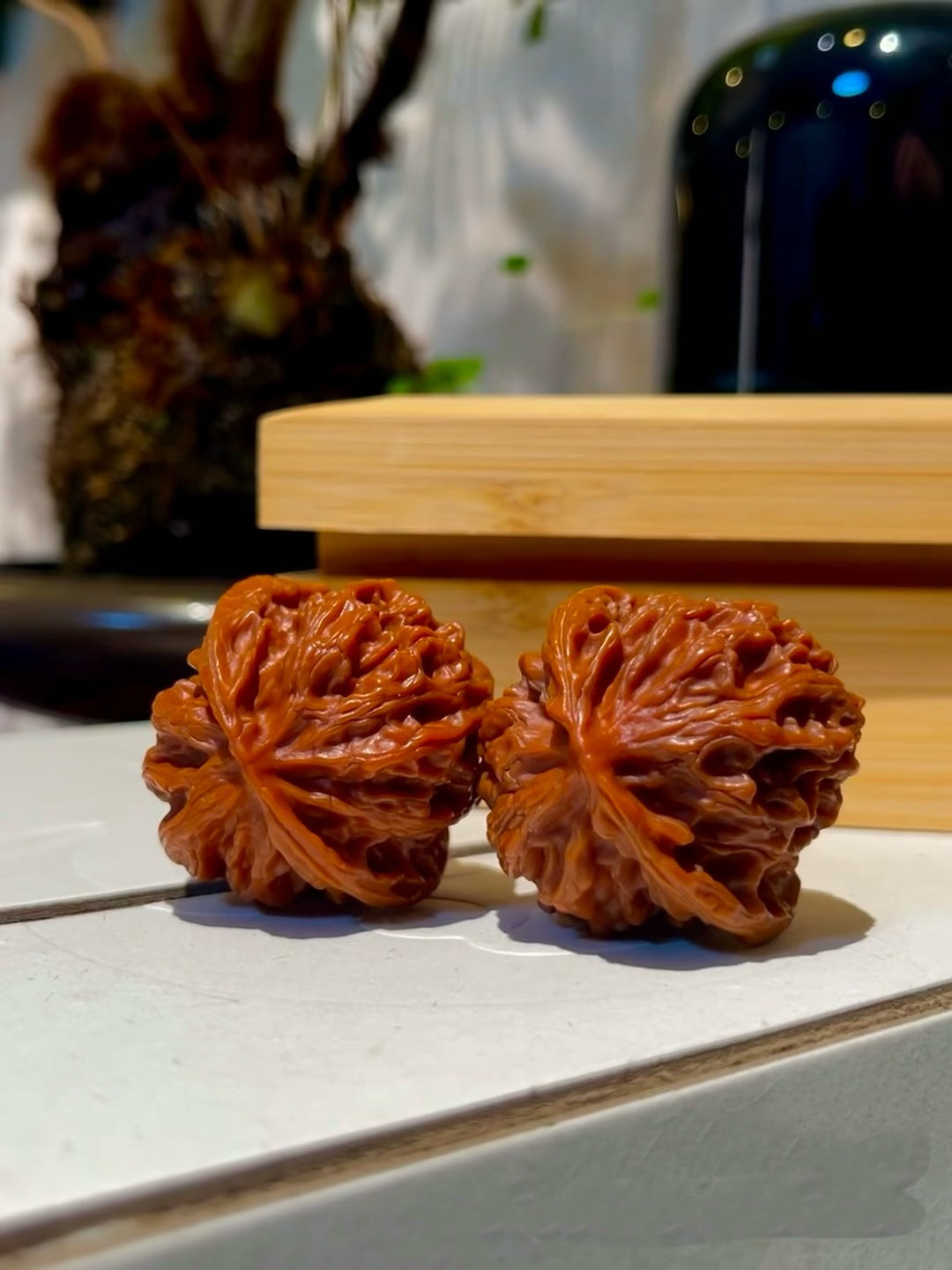 Apple Orchard Walnuts