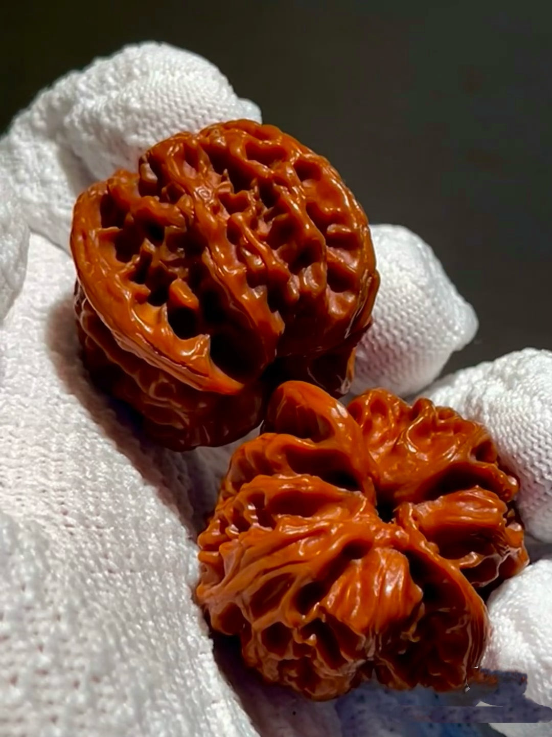Apple Orchard Walnuts