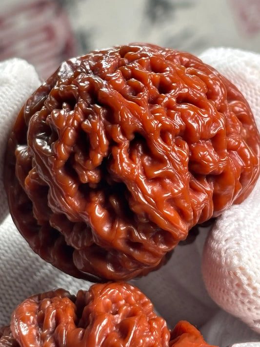 Thick-Ribbed Walnut