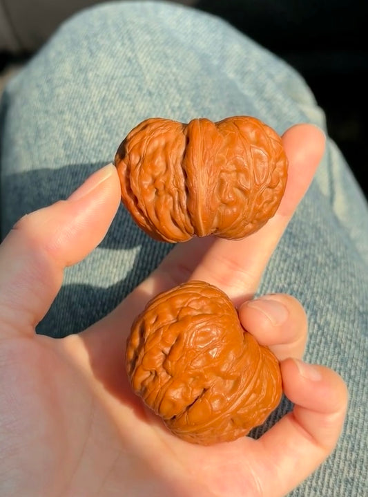 Ancient Gold Ingot Walnut